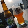 Next Level Brewing Surfin West Coast IPA im Craft Bier Online Shop bestellen - Craft Beer online kaufen